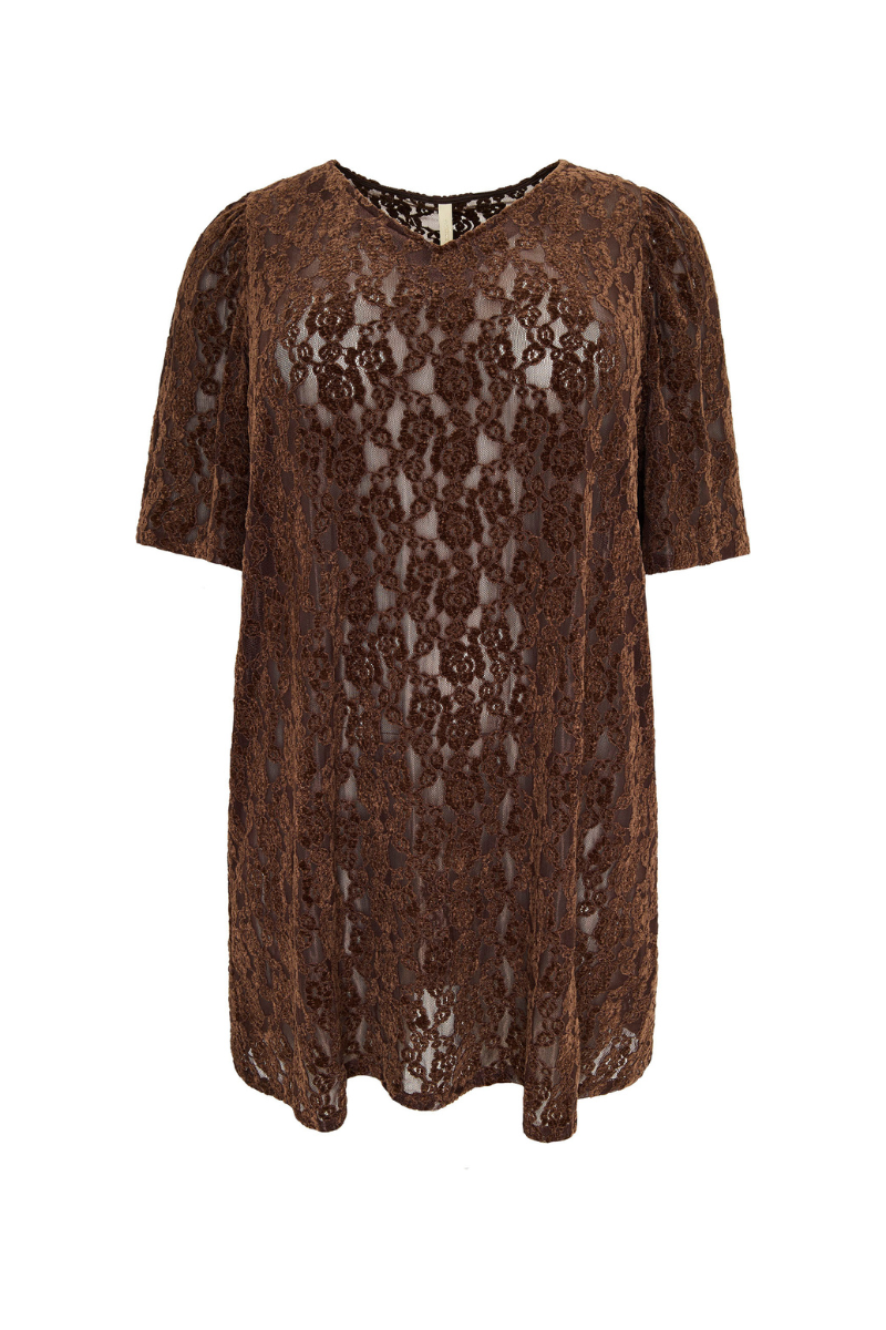 Cassiopeia tunika mellani brun