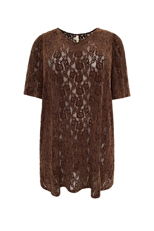 Cassiopeia tunika mellani brun